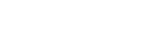 Alluvionic logo