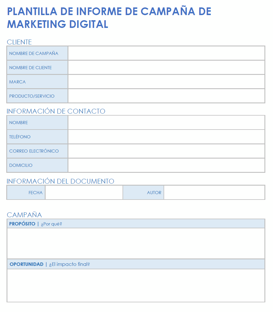 Resumen de la campaña de marketing digital