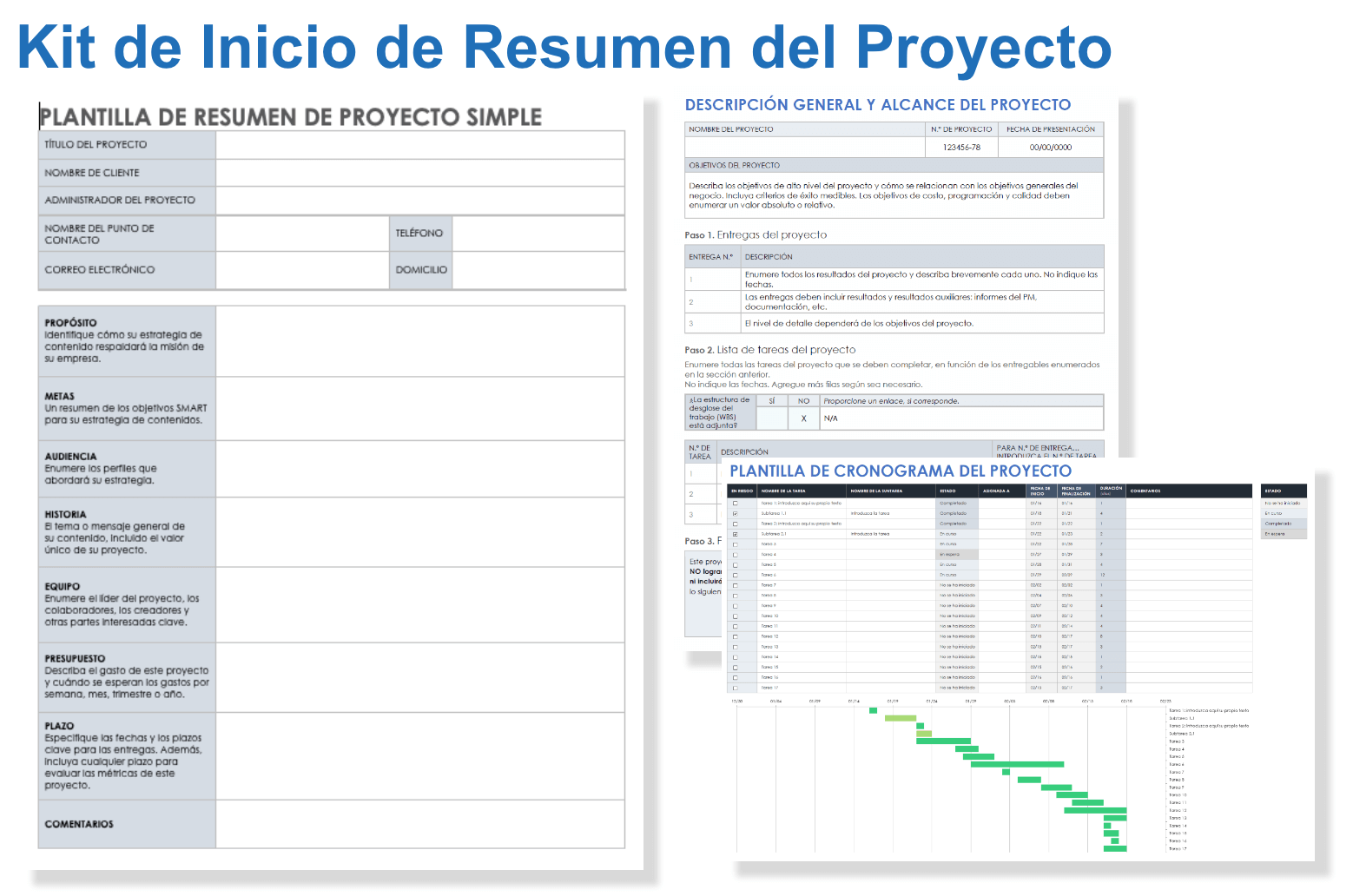 Kit inicial de resumen del proyecto ES