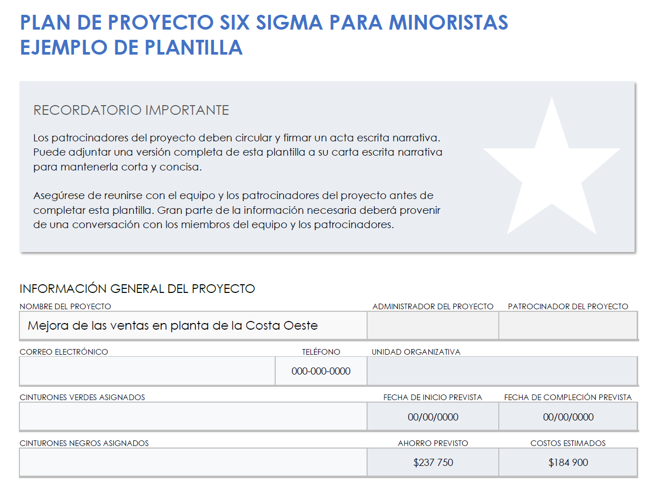 Ejemplo de carta de proyecto minorista Six Sigma