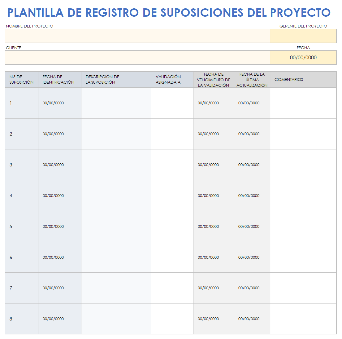 Registro de supuestos del proyecto