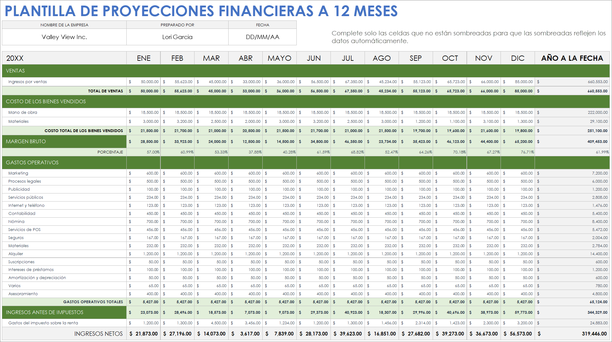  Plantilla de ejemplo de proyecciones financieras de 12 meses