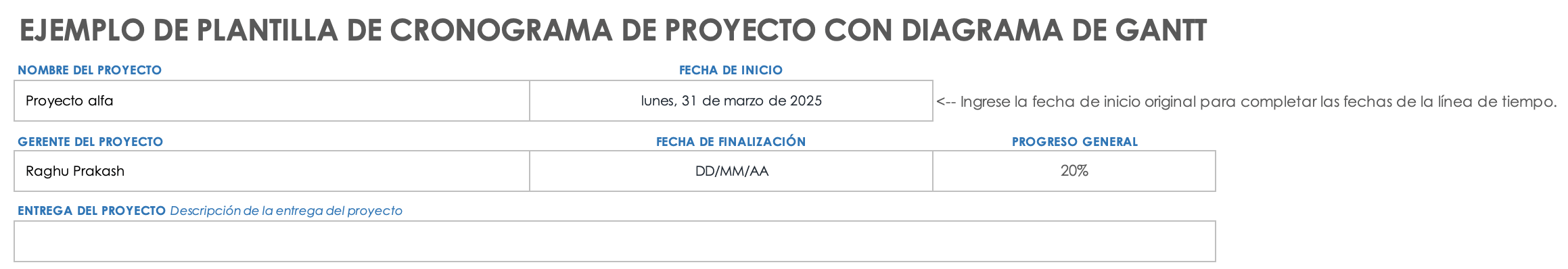 Detalles básicos del cronograma del proyecto en Excel