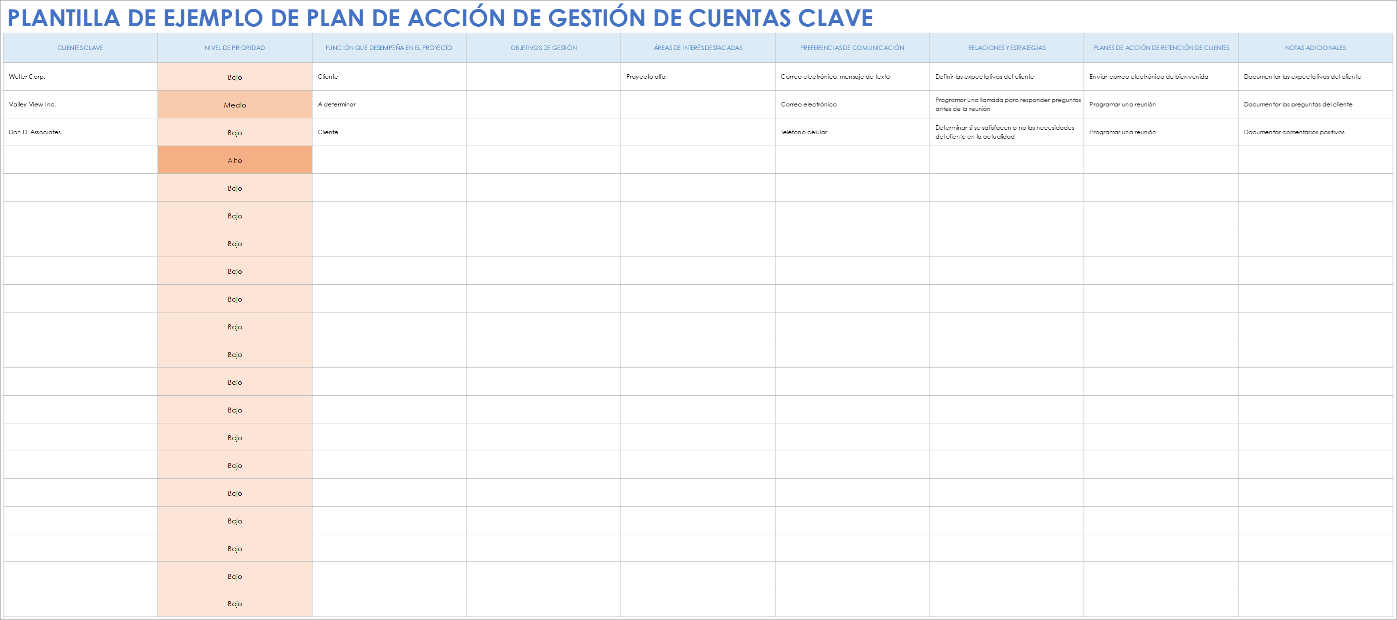  Plan de acción para la gestión de cuentas clave