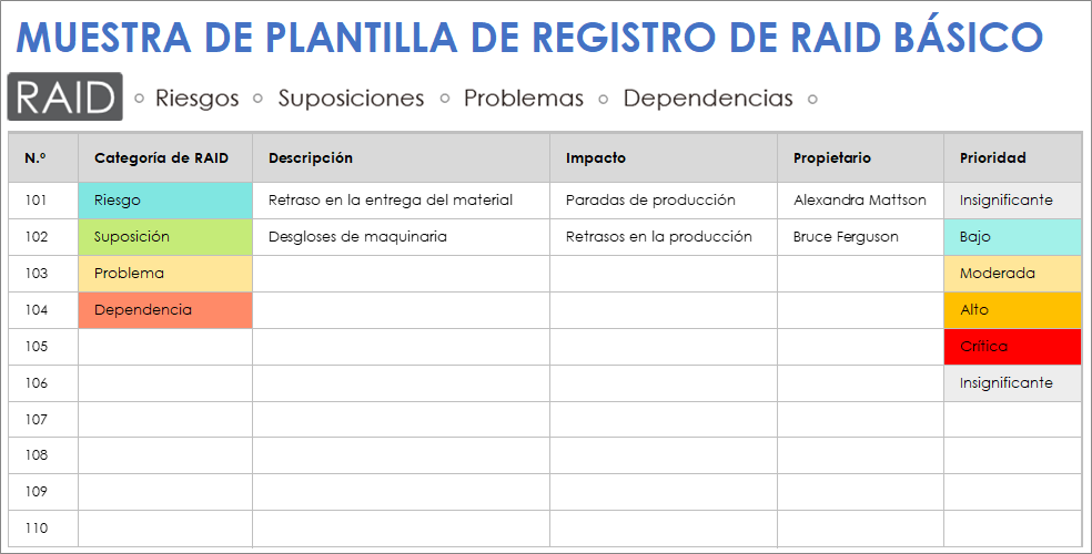  Plantilla de muestra de registro RAID básico