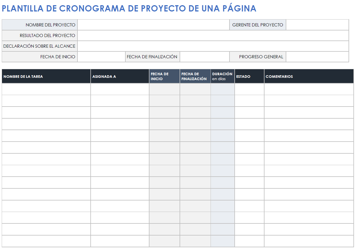  Plantilla de programación de proyectos de una página