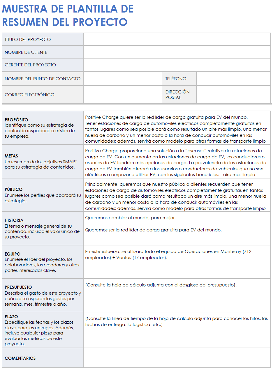  Plantilla de ejemplo de resumen de proyecto