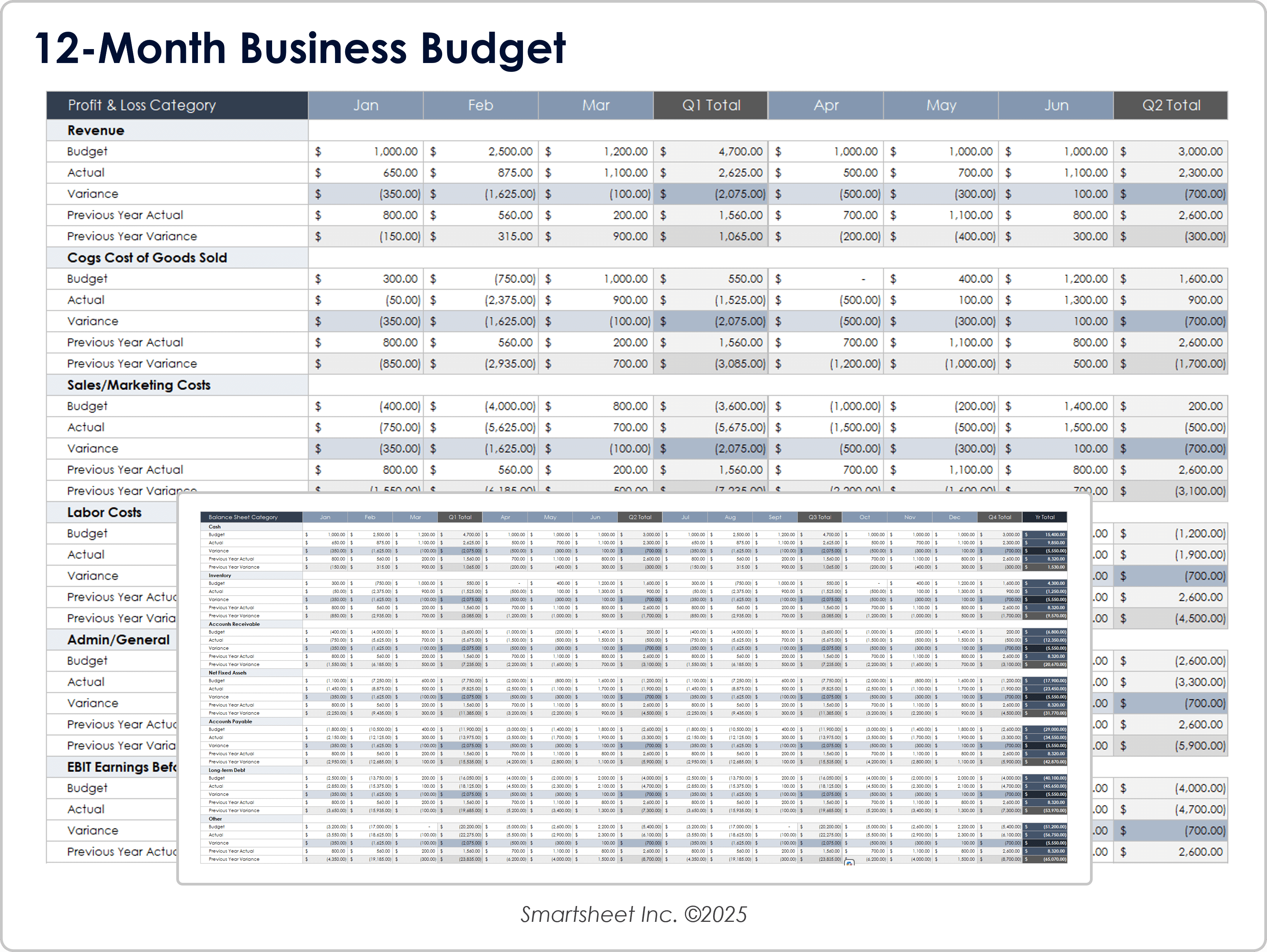 Plantilla de presupuesto de negocios de 12 meses - Excel