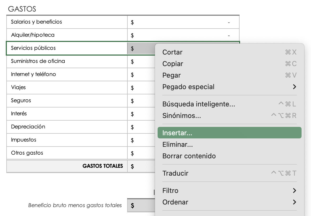 Gastos Personalizar Insertar