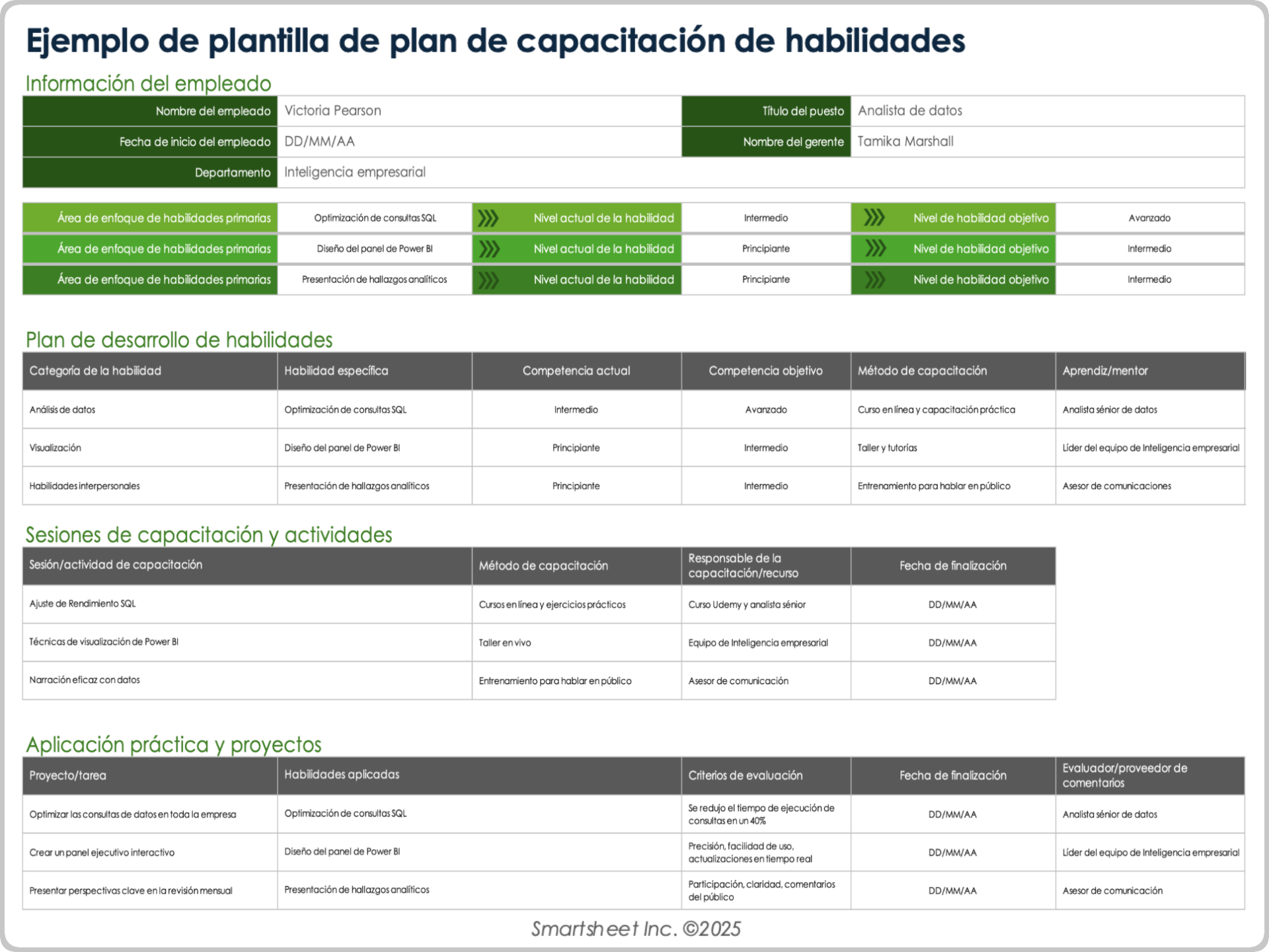 Ejemplo de plantilla de plan de capacitación de habilidades