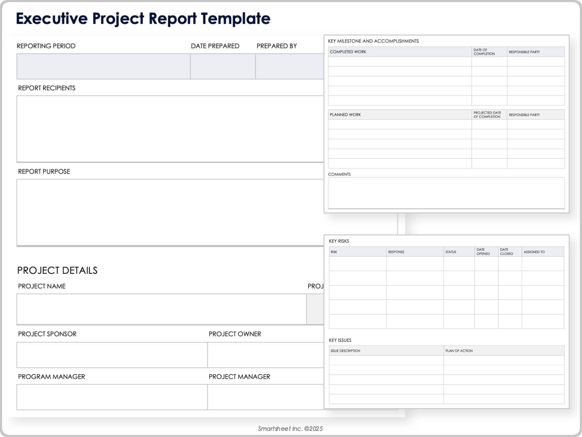 executive project report template
