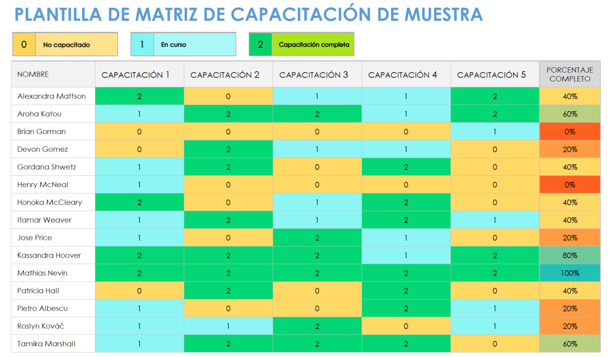 Muestra de plantilla de matriz de capacitación