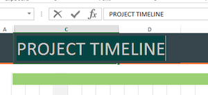 Línea de tiempo del proyecto 