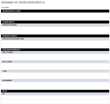 Plantilla de resumen de visión estratégica